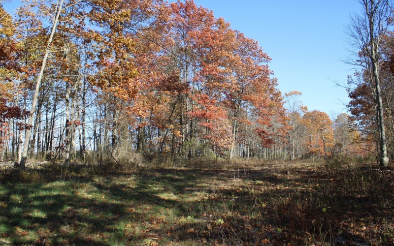 Lot 14 Sand Bank Heights Road, Masontown, West Virginia 26542, ,Lots/land,For Sale,Sand Bank Heights,10162412 Lot 14 Sand Bank Heights Road, Masontown, West Virginia 26542, ,Lots/land,For Sale,Sand Bank Heights,10162412