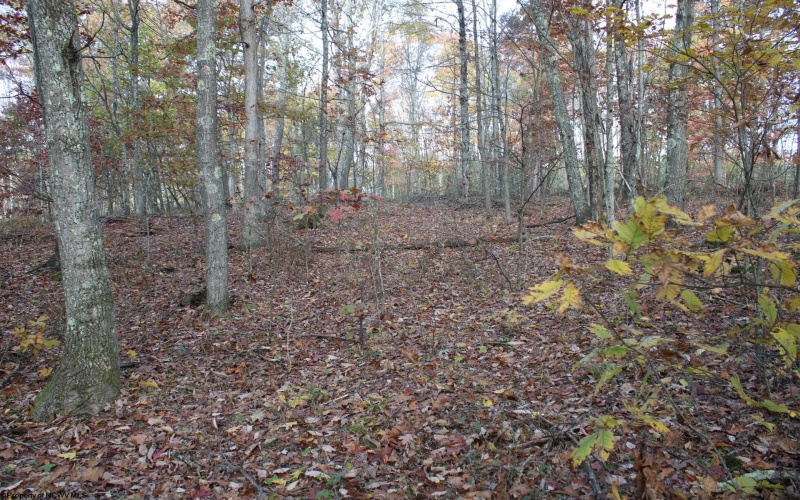 Lot 14 Sand Bank Heights Road, Masontown, West Virginia 26542, ,Lots/land,For Sale,Sand Bank Heights,10162412 Lot 14 Sand Bank Heights Road, Masontown, West Virginia 26542, ,Lots/land,For Sale,Sand Bank Heights,10162412