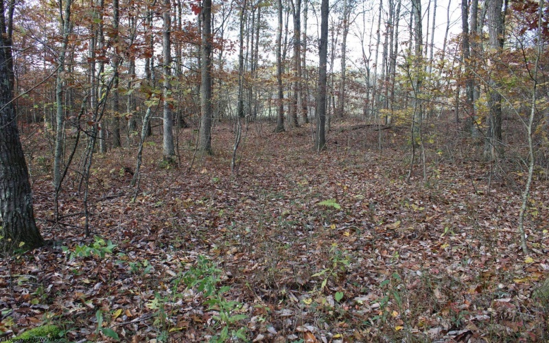 Lot 14 Sand Bank Heights Road, Masontown, West Virginia 26542, ,Lots/land,For Sale,Sand Bank Heights,10162412 Lot 14 Sand Bank Heights Road, Masontown, West Virginia 26542, ,Lots/land,For Sale,Sand Bank Heights,10162412
