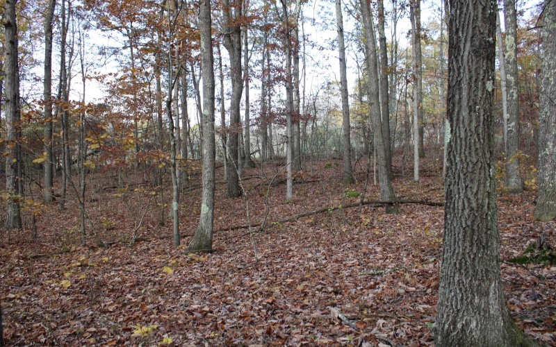 Lot 14 Sand Bank Heights Road, Masontown, West Virginia 26542, ,Lots/land,For Sale,Sand Bank Heights,10162412 Lot 14 Sand Bank Heights Road, Masontown, West Virginia 26542, ,Lots/land,For Sale,Sand Bank Heights,10162412