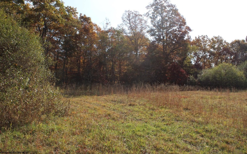 Lot 14 Sand Bank Heights Road, Masontown, West Virginia 26542, ,Lots/land,For Sale,Sand Bank Heights,10162412 Lot 14 Sand Bank Heights Road, Masontown, West Virginia 26542, ,Lots/land,For Sale,Sand Bank Heights,10162412