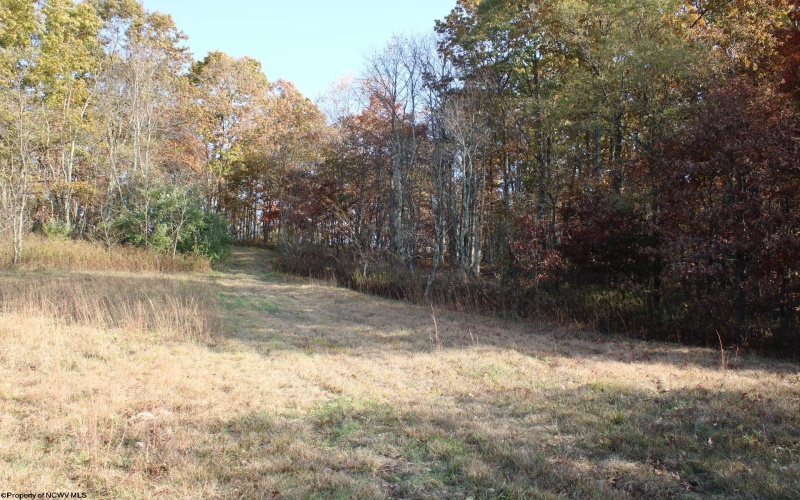 Lot 14 Sand Bank Heights Road, Masontown, West Virginia 26542, ,Lots/land,For Sale,Sand Bank Heights,10162412 Lot 14 Sand Bank Heights Road, Masontown, West Virginia 26542, ,Lots/land,For Sale,Sand Bank Heights,10162412
