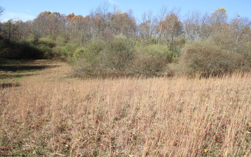 Lot 15 Sand Bank Heights Road, Masontown, West Virginia 26542, ,Lots/land,For Sale,Sand Bank Heights,10162413 Lot 15 Sand Bank Heights Road, Masontown, West Virginia 26542, ,Lots/land,For Sale,Sand Bank Heights,10162413