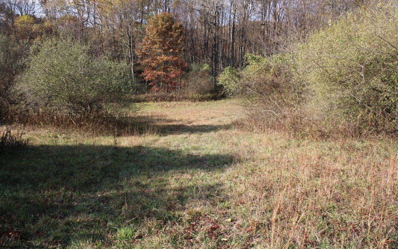 Lot 15 Sand Bank Heights Road, Masontown, West Virginia 26542, ,Lots/land,For Sale,Sand Bank Heights,10162413 Lot 15 Sand Bank Heights Road, Masontown, West Virginia 26542, ,Lots/land,For Sale,Sand Bank Heights,10162413
