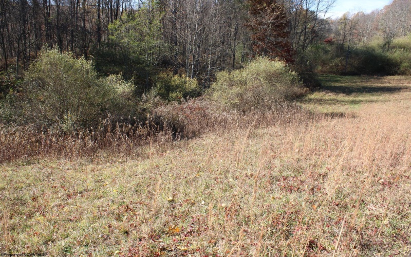 Lot 15 Sand Bank Heights Road, Masontown, West Virginia 26542, ,Lots/land,For Sale,Sand Bank Heights,10162413 Lot 15 Sand Bank Heights Road, Masontown, West Virginia 26542, ,Lots/land,For Sale,Sand Bank Heights,10162413
