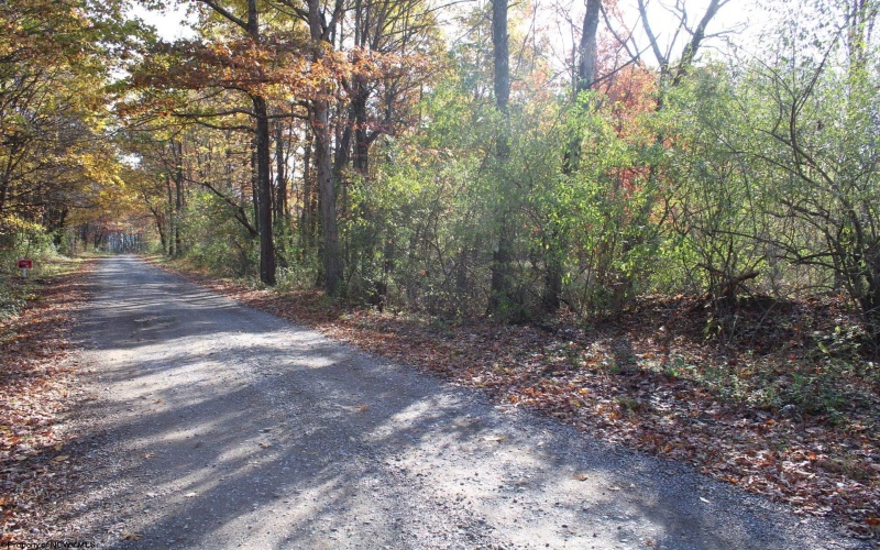 Lot 15 Sand Bank Heights Road, Masontown, West Virginia 26542, ,Lots/land,For Sale,Sand Bank Heights,10162413 Lot 15 Sand Bank Heights Road, Masontown, West Virginia 26542, ,Lots/land,For Sale,Sand Bank Heights,10162413