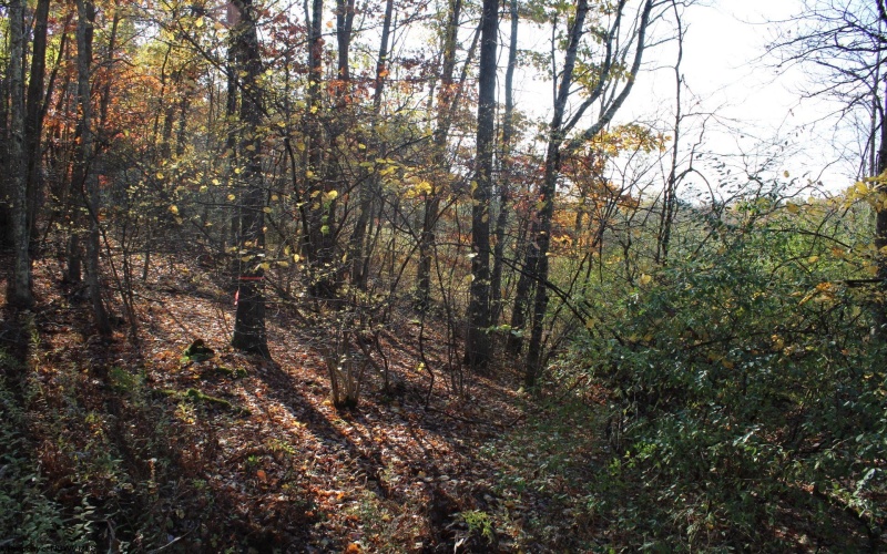 Lot 15 Sand Bank Heights Road, Masontown, West Virginia 26542, ,Lots/land,For Sale,Sand Bank Heights,10162413 Lot 15 Sand Bank Heights Road, Masontown, West Virginia 26542, ,Lots/land,For Sale,Sand Bank Heights,10162413