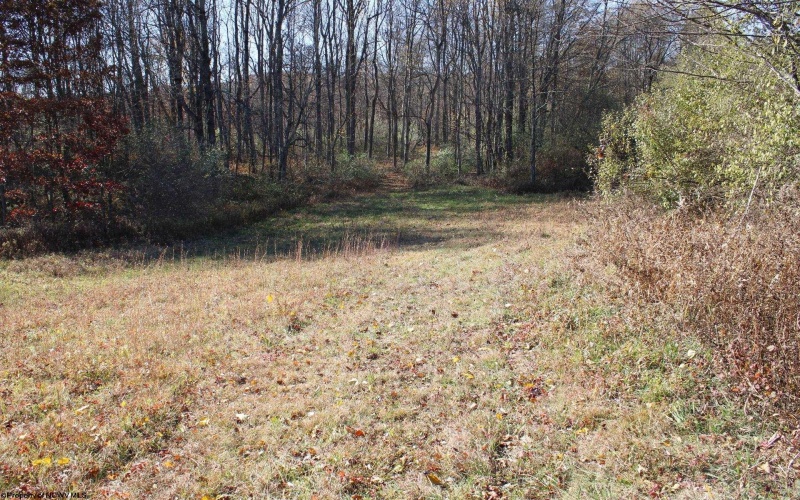 Lot 15 Sand Bank Heights Road, Masontown, West Virginia 26542, ,Lots/land,For Sale,Sand Bank Heights,10162413 Lot 15 Sand Bank Heights Road, Masontown, West Virginia 26542, ,Lots/land,For Sale,Sand Bank Heights,10162413