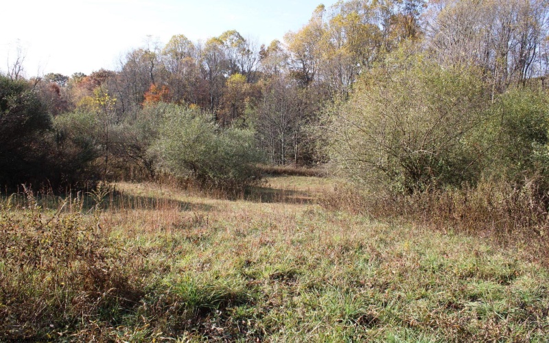 Lot 15 Sand Bank Heights Road, Masontown, West Virginia 26542, ,Lots/land,For Sale,Sand Bank Heights,10162413 Lot 15 Sand Bank Heights Road, Masontown, West Virginia 26542, ,Lots/land,For Sale,Sand Bank Heights,10162413