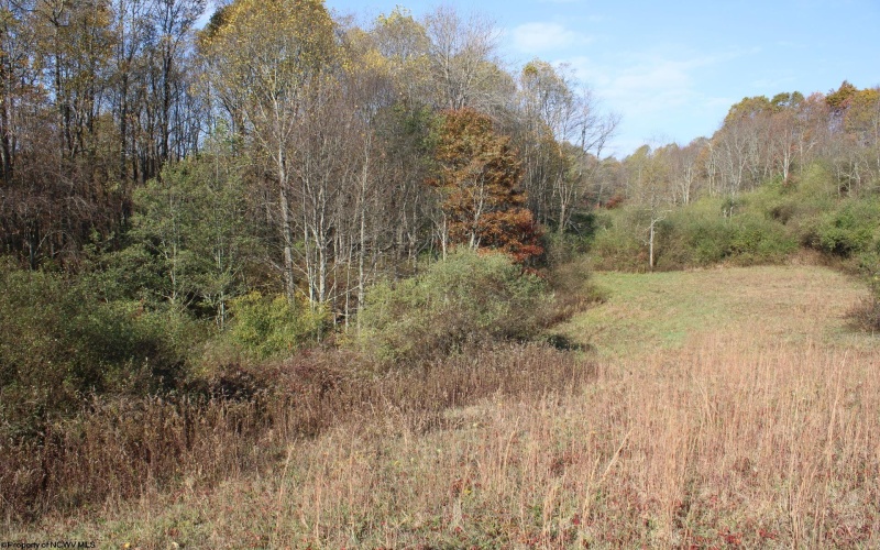 Lot 15 Sand Bank Heights Road, Masontown, West Virginia 26542, ,Lots/land,For Sale,Sand Bank Heights,10162413 Lot 15 Sand Bank Heights Road, Masontown, West Virginia 26542, ,Lots/land,For Sale,Sand Bank Heights,10162413