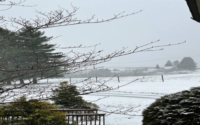 123 Wildflower Way, Davis, West Virginia 26260, 2 Bedrooms Bedrooms, 4 Rooms Rooms,1 BathroomBathrooms,Single Family Detached,For Sale,Wildflower,10162423