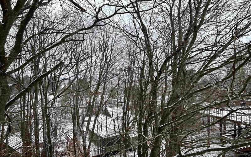 123 Wildflower Way, Davis, West Virginia 26260, 2 Bedrooms Bedrooms, 4 Rooms Rooms,1 BathroomBathrooms,Single Family Detached,For Sale,Wildflower,10162423