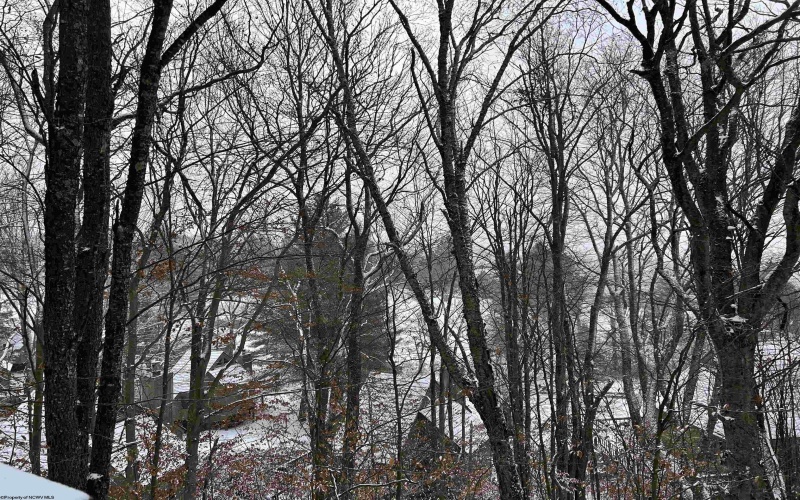 123 Wildflower Way, Davis, West Virginia 26260, 2 Bedrooms Bedrooms, 4 Rooms Rooms,1 BathroomBathrooms,Single Family Detached,For Sale,Wildflower,10162423