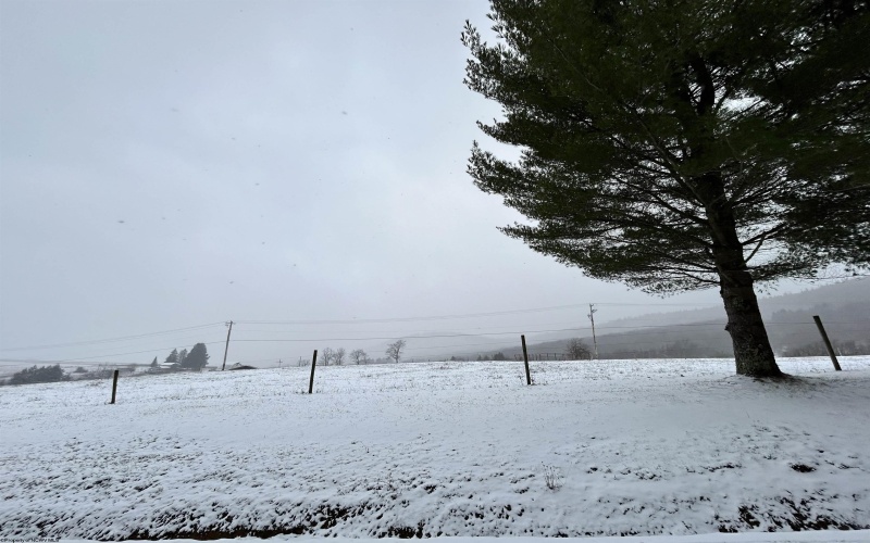 123 Wildflower Way, Davis, West Virginia 26260, 2 Bedrooms Bedrooms, 4 Rooms Rooms,1 BathroomBathrooms,Single Family Detached,For Sale,Wildflower,10162423