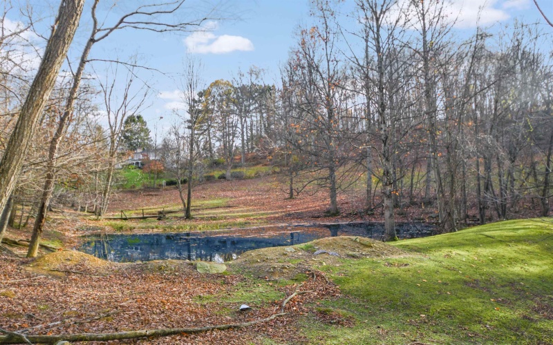 212 Halleck Road, Fairmont, West Virginia 26554, ,Lots/land,For Sale,Halleck,10162431 212 Halleck Road, Fairmont, West Virginia 26554, ,Lots/land,For Sale,Halleck,10162431