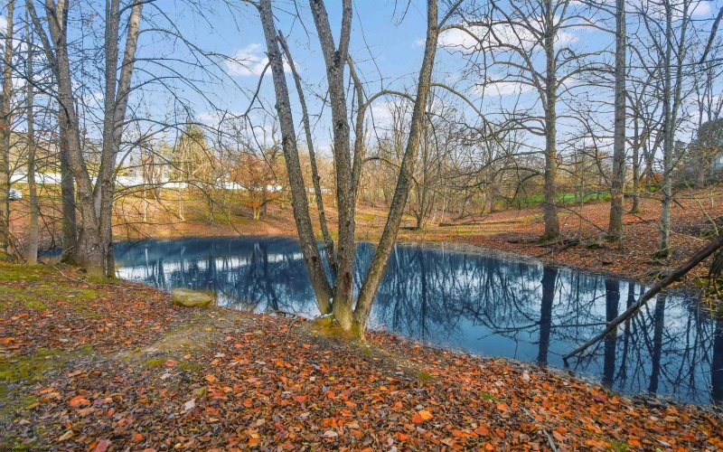 212 Halleck Road, Fairmont, West Virginia 26554, ,Lots/land,For Sale,Halleck,10162431 212 Halleck Road, Fairmont, West Virginia 26554, ,Lots/land,For Sale,Halleck,10162431