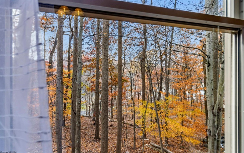 4 Oak Ridge Drive, Morgantown, West Virginia 26508, 3 Bedrooms Bedrooms, 7 Rooms Rooms,3 BathroomsBathrooms,Single Family Attached,For Sale,Oak Ridge,10162443