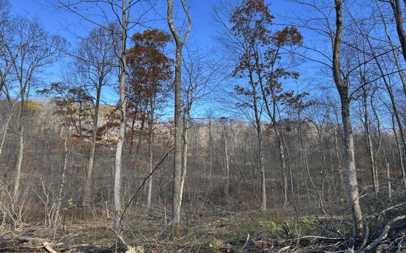 TBD Spruce Run Road, Terra Alta, West Virginia 26764, ,Lots/land,For Sale,Spruce Run,10162446 TBD Spruce Run Road, Terra Alta, West Virginia 26764, ,Lots/land,For Sale,Spruce Run,10162446