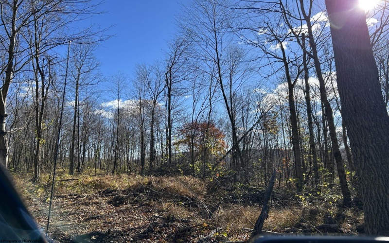 TBD Spruce Run Road, Terra Alta, West Virginia 26764, ,Lots/land,For Sale,Spruce Run,10162446 TBD Spruce Run Road, Terra Alta, West Virginia 26764, ,Lots/land,For Sale,Spruce Run,10162446