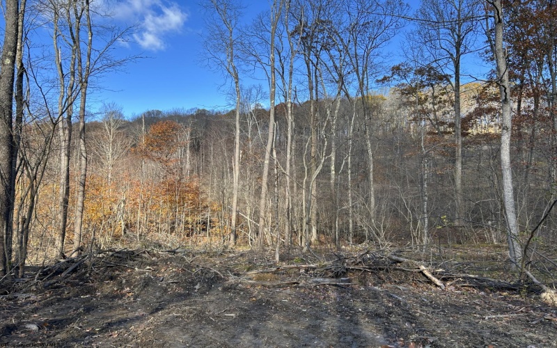 TBD Spruce Run Road, Terra Alta, West Virginia 26764, ,Lots/land,For Sale,Spruce Run,10162446 TBD Spruce Run Road, Terra Alta, West Virginia 26764, ,Lots/land,For Sale,Spruce Run,10162446