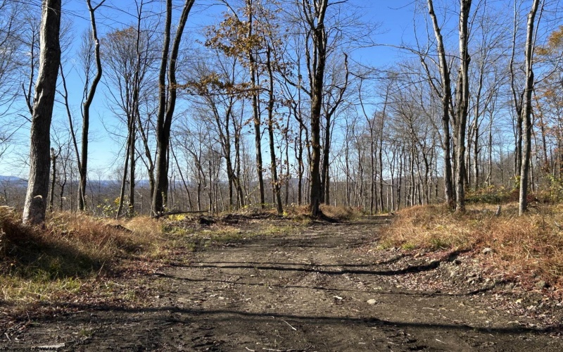 TBD Spruce Run Road, Terra Alta, West Virginia 26764, ,Lots/land,For Sale,Spruce Run,10162446 TBD Spruce Run Road, Terra Alta, West Virginia 26764, ,Lots/land,For Sale,Spruce Run,10162446