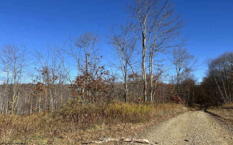 TBD Spruce Run Road, Terra Alta, West Virginia 26764, ,Lots/land,For Sale,Spruce Run,10162446 TBD Spruce Run Road, Terra Alta, West Virginia 26764, ,Lots/land,For Sale,Spruce Run,10162446
