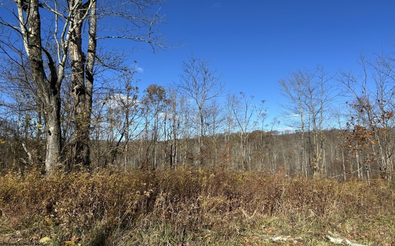 TBD Spruce Run Road, Terra Alta, West Virginia 26764, ,Lots/land,For Sale,Spruce Run,10162446 TBD Spruce Run Road, Terra Alta, West Virginia 26764, ,Lots/land,For Sale,Spruce Run,10162446