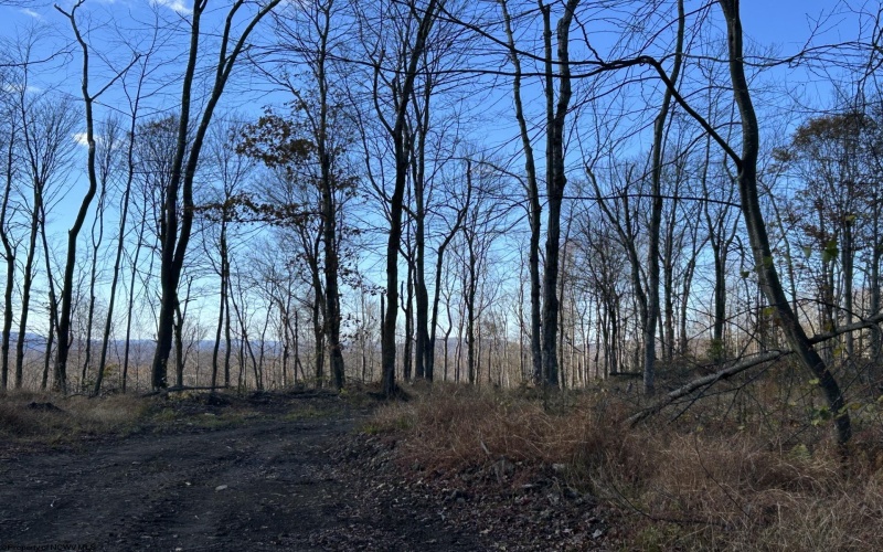 TBD Spruce Run Road, Terra Alta, West Virginia 26764, ,Lots/land,For Sale,Spruce Run,10162446 TBD Spruce Run Road, Terra Alta, West Virginia 26764, ,Lots/land,For Sale,Spruce Run,10162446
