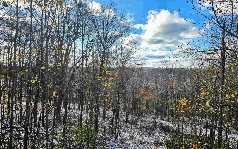 2869 Odells Knob Road, Shinnston, West Virginia 26431, 3 Bedrooms Bedrooms, 7 Rooms Rooms,2 BathroomsBathrooms,Single Family Detached,For Sale,Odells Knob,10162438