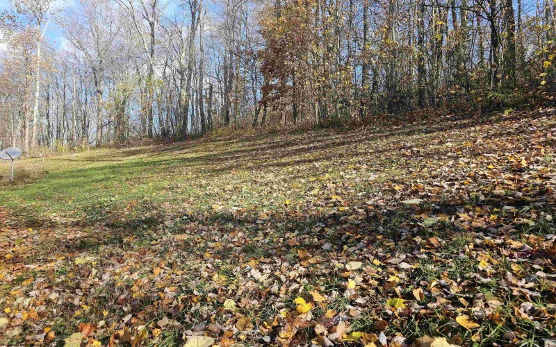 2869 Odells Knob Road, Shinnston, West Virginia 26431, 3 Bedrooms Bedrooms, 7 Rooms Rooms,2 BathroomsBathrooms,Single Family Detached,For Sale,Odells Knob,10162438