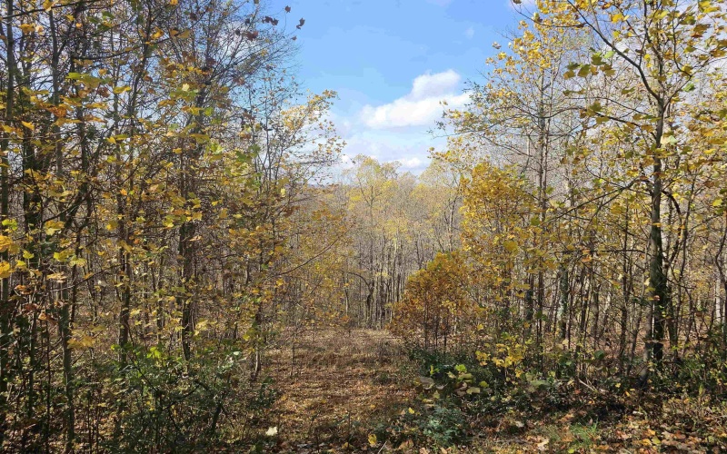 2869 Odells Knob Road, Shinnston, West Virginia 26431, 3 Bedrooms Bedrooms, 7 Rooms Rooms,2 BathroomsBathrooms,Single Family Detached,For Sale,Odells Knob,10162438