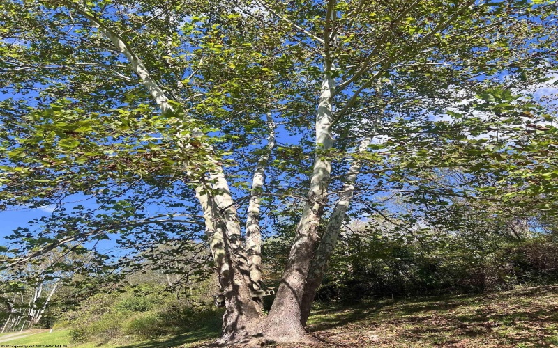 TBD Green Valley Road, Bridgeport, West Virginia 26330, 3 Bedrooms Bedrooms, 6 Rooms Rooms,2 BathroomsBathrooms,Single Family Detached,For Sale,Green Valley,10162447