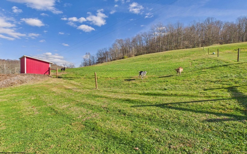 3819 Saltwell Road, Bridgeport, West Virginia 26330, 3 Bedrooms Bedrooms, 9 Rooms Rooms,3 BathroomsBathrooms,Single Family Detached,For Sale,Saltwell,10162483 3819 Saltwell Road, Bridgeport, West Virginia 26330, 3 Bedrooms Bedrooms, 9 Rooms Rooms,3 BathroomsBathrooms,Single Family Detached,For Sale,Saltwell,10162483