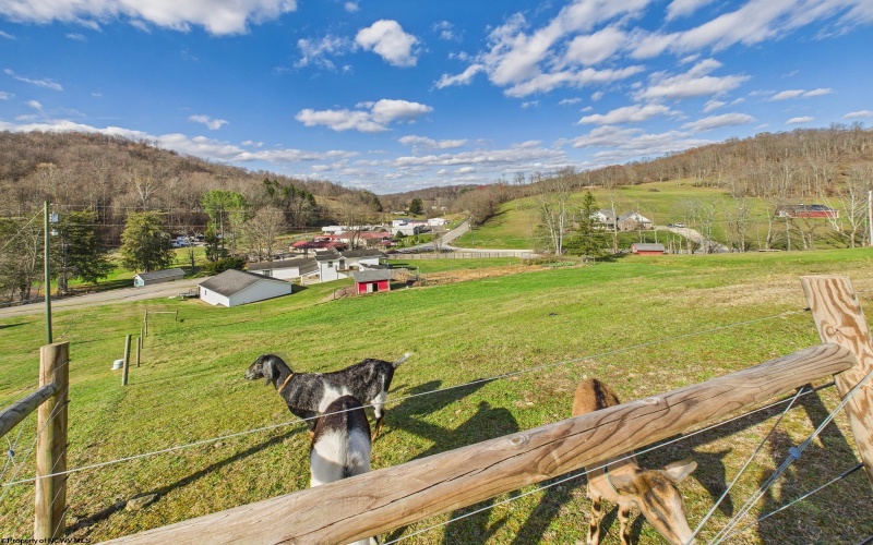 3819 Saltwell Road, Bridgeport, West Virginia 26330, 3 Bedrooms Bedrooms, 9 Rooms Rooms,3 BathroomsBathrooms,Single Family Detached,For Sale,Saltwell,10162483 3819 Saltwell Road, Bridgeport, West Virginia 26330, 3 Bedrooms Bedrooms, 9 Rooms Rooms,3 BathroomsBathrooms,Single Family Detached,For Sale,Saltwell,10162483