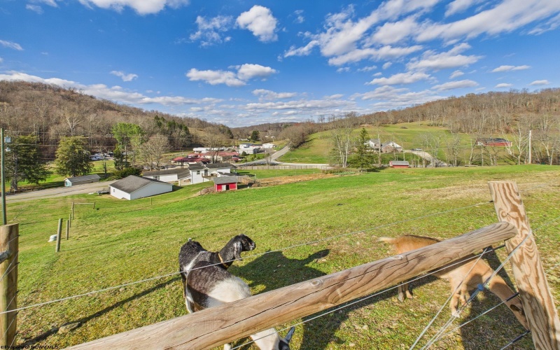 3819 Saltwell Road, Bridgeport, West Virginia 26330, 3 Bedrooms Bedrooms, 9 Rooms Rooms,3 BathroomsBathrooms,Single Family Detached,For Sale,Saltwell,10162483 3819 Saltwell Road, Bridgeport, West Virginia 26330, 3 Bedrooms Bedrooms, 9 Rooms Rooms,3 BathroomsBathrooms,Single Family Detached,For Sale,Saltwell,10162483