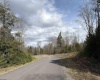 Lot 75 Canal Street, Davis, West Virginia 26260, ,Lots/land,For Sale,Canal,10157950