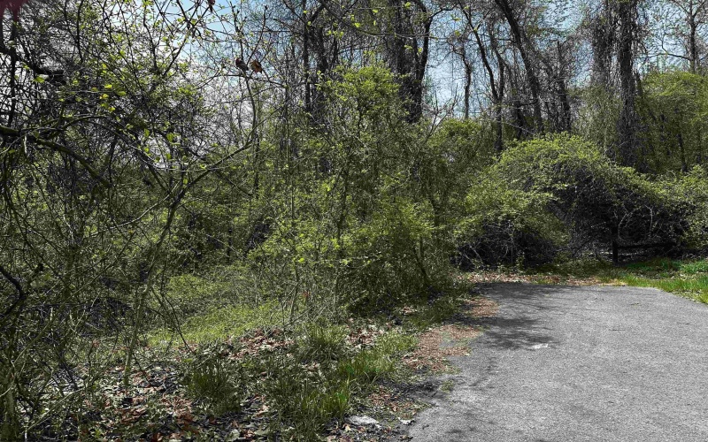 TBD Parkside Estates, Fairmont, West Virginia 26554, ,Lots/land,For Sale,Parkside,10159349