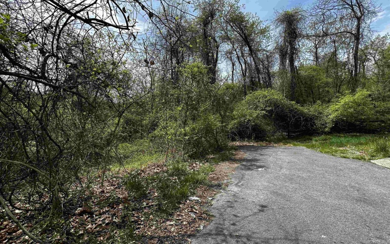 TBD Parkside Estates, Fairmont, West Virginia 26554, ,Lots/land,For Sale,Parkside,10159349