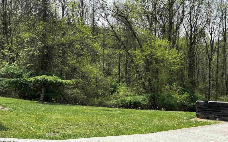 TBD Parkside Estates, Fairmont, West Virginia 26554, ,Lots/land,For Sale,Parkside,10159349