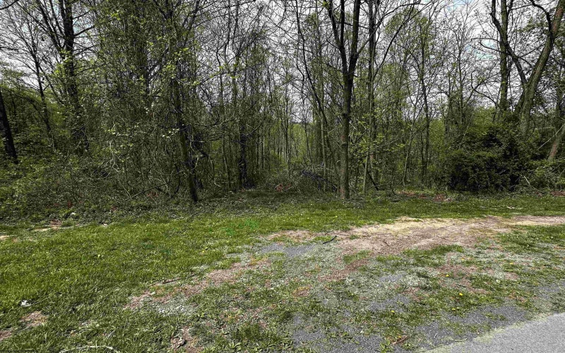 TBD Parkside Estates, Fairmont, West Virginia 26554, ,Lots/land,For Sale,Parkside,10159349