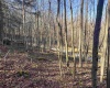 Lot 12 Whitewater Parkway, Bruceton Mills, West Virginia 26525, ,Lots/land,For Sale,Whitewater,10162472 Lot 12 Whitewater Parkway, Bruceton Mills, West Virginia 26525, ,Lots/land,For Sale,Whitewater,10162472