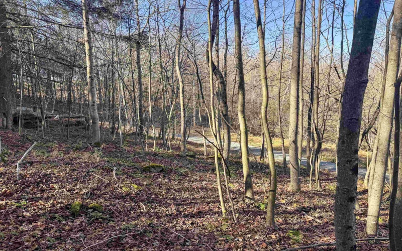 Lot 12 Whitewater Parkway, Bruceton Mills, West Virginia 26525, ,Lots/land,For Sale,Whitewater,10162472 Lot 12 Whitewater Parkway, Bruceton Mills, West Virginia 26525, ,Lots/land,For Sale,Whitewater,10162472