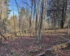 Lot 12 Whitewater Parkway, Bruceton Mills, West Virginia 26525, ,Lots/land,For Sale,Whitewater,10162472 Lot 12 Whitewater Parkway, Bruceton Mills, West Virginia 26525, ,Lots/land,For Sale,Whitewater,10162472