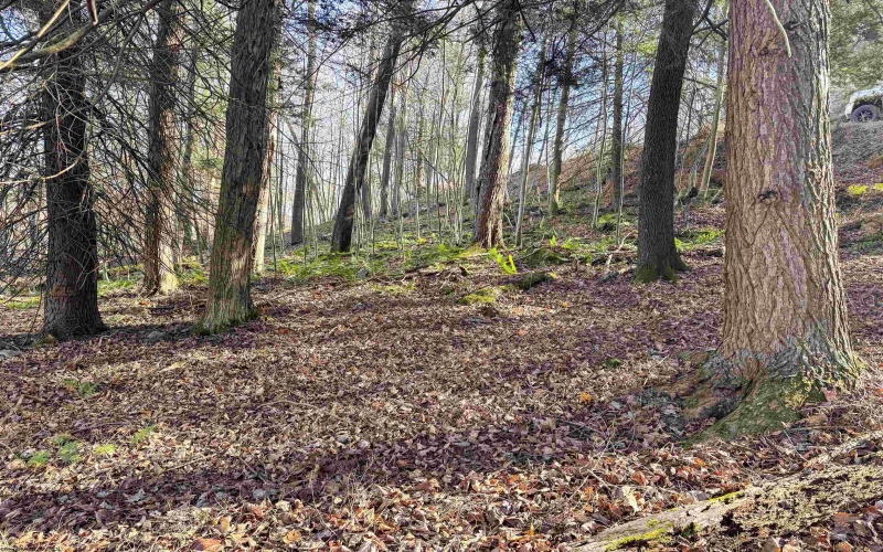 Lot 12 Whitewater Parkway, Bruceton Mills, West Virginia 26525, ,Lots/land,For Sale,Whitewater,10162472 Lot 12 Whitewater Parkway, Bruceton Mills, West Virginia 26525, ,Lots/land,For Sale,Whitewater,10162472