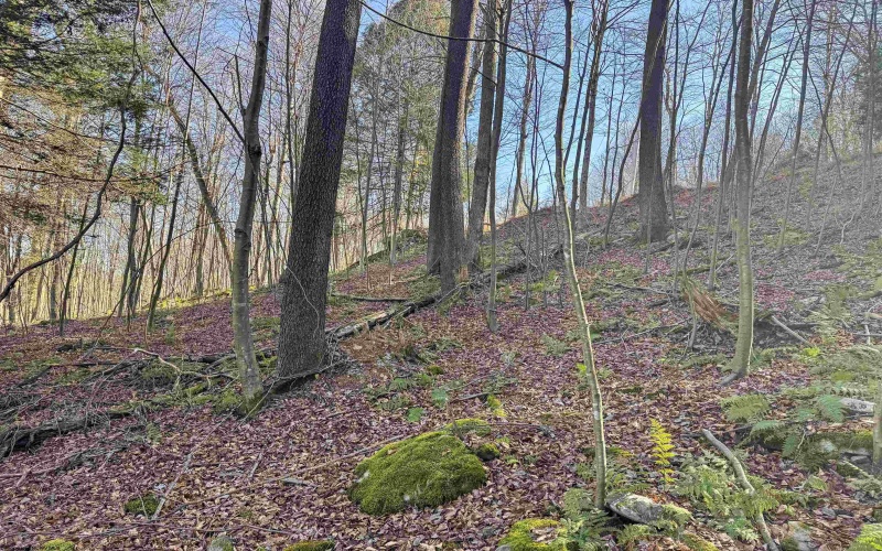 Lot 12 Whitewater Parkway, Bruceton Mills, West Virginia 26525, ,Lots/land,For Sale,Whitewater,10162472 Lot 12 Whitewater Parkway, Bruceton Mills, West Virginia 26525, ,Lots/land,For Sale,Whitewater,10162472