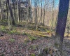 Lot 12 Whitewater Parkway, Bruceton Mills, West Virginia 26525, ,Lots/land,For Sale,Whitewater,10162472 Lot 12 Whitewater Parkway, Bruceton Mills, West Virginia 26525, ,Lots/land,For Sale,Whitewater,10162472