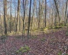 Lot 12 Whitewater Parkway, Bruceton Mills, West Virginia 26525, ,Lots/land,For Sale,Whitewater,10162472 Lot 12 Whitewater Parkway, Bruceton Mills, West Virginia 26525, ,Lots/land,For Sale,Whitewater,10162472