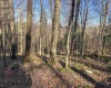 Lot 12 Whitewater Parkway, Bruceton Mills, West Virginia 26525, ,Lots/land,For Sale,Whitewater,10162472 Lot 12 Whitewater Parkway, Bruceton Mills, West Virginia 26525, ,Lots/land,For Sale,Whitewater,10162472