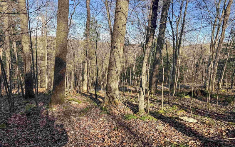Lot 12 Whitewater Parkway, Bruceton Mills, West Virginia 26525, ,Lots/land,For Sale,Whitewater,10162472 Lot 12 Whitewater Parkway, Bruceton Mills, West Virginia 26525, ,Lots/land,For Sale,Whitewater,10162472
