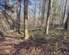 Lot 12 Whitewater Parkway, Bruceton Mills, West Virginia 26525, ,Lots/land,For Sale,Whitewater,10162472 Lot 12 Whitewater Parkway, Bruceton Mills, West Virginia 26525, ,Lots/land,For Sale,Whitewater,10162472